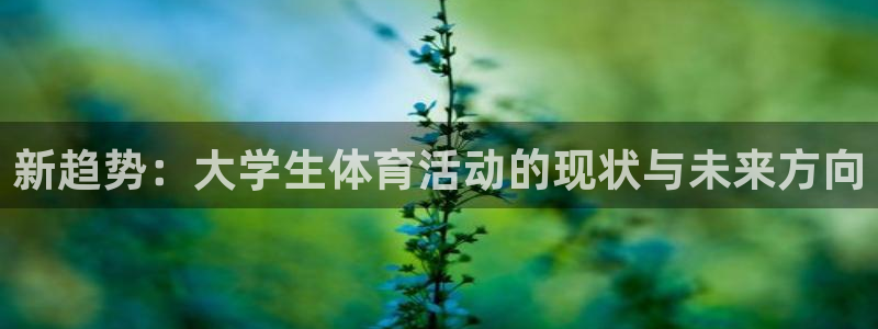 球速体育