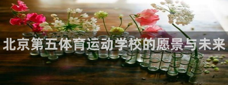 球速体育