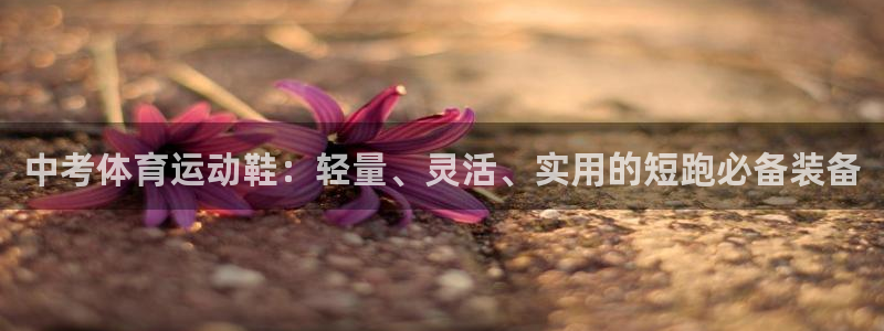 球速体育