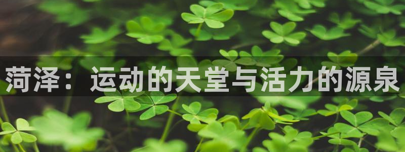 球速体育