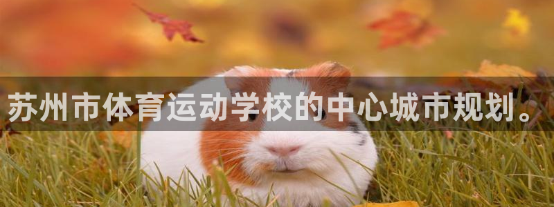 球速体育