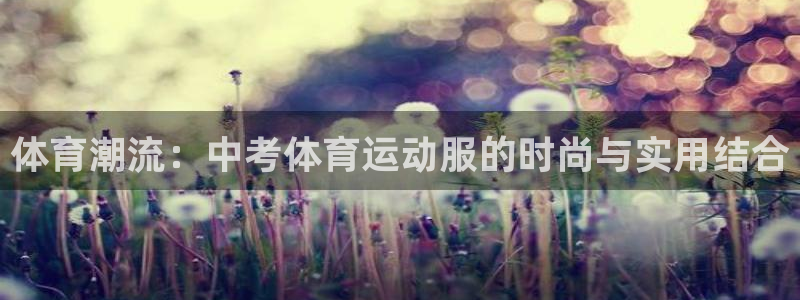 球速体育