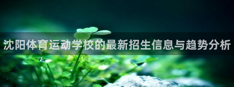球速体育