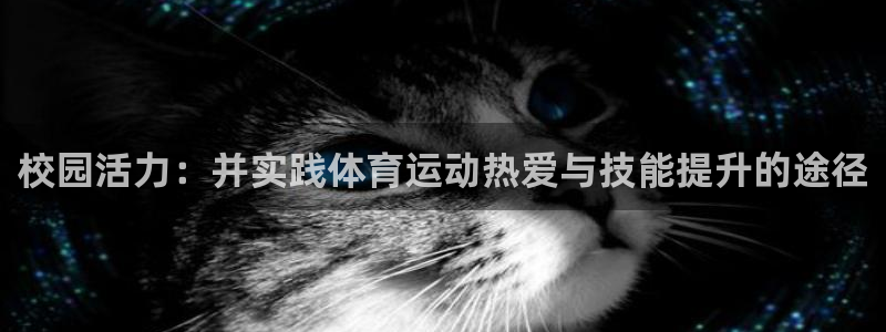 球速体育